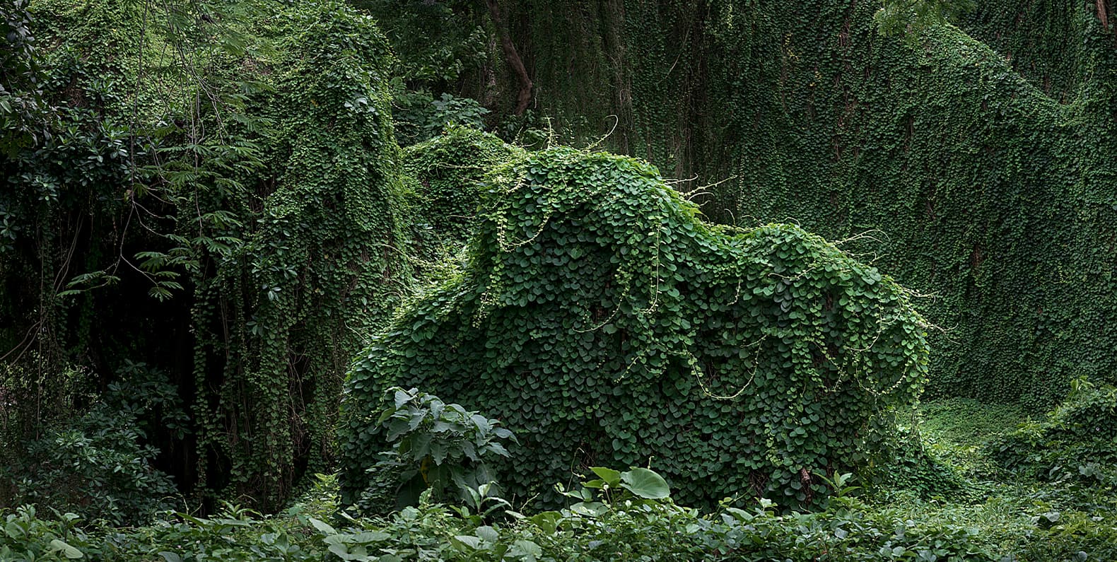 Самое интересное из мира дизайна и искусства: с 13 по 19 октября 2025