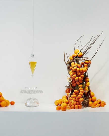 Мультисенсорная инсталляция LOEWE Perfumes в Лондоне