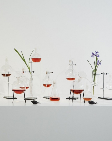 Мультисенсорная инсталляция LOEWE Perfumes в Лондоне