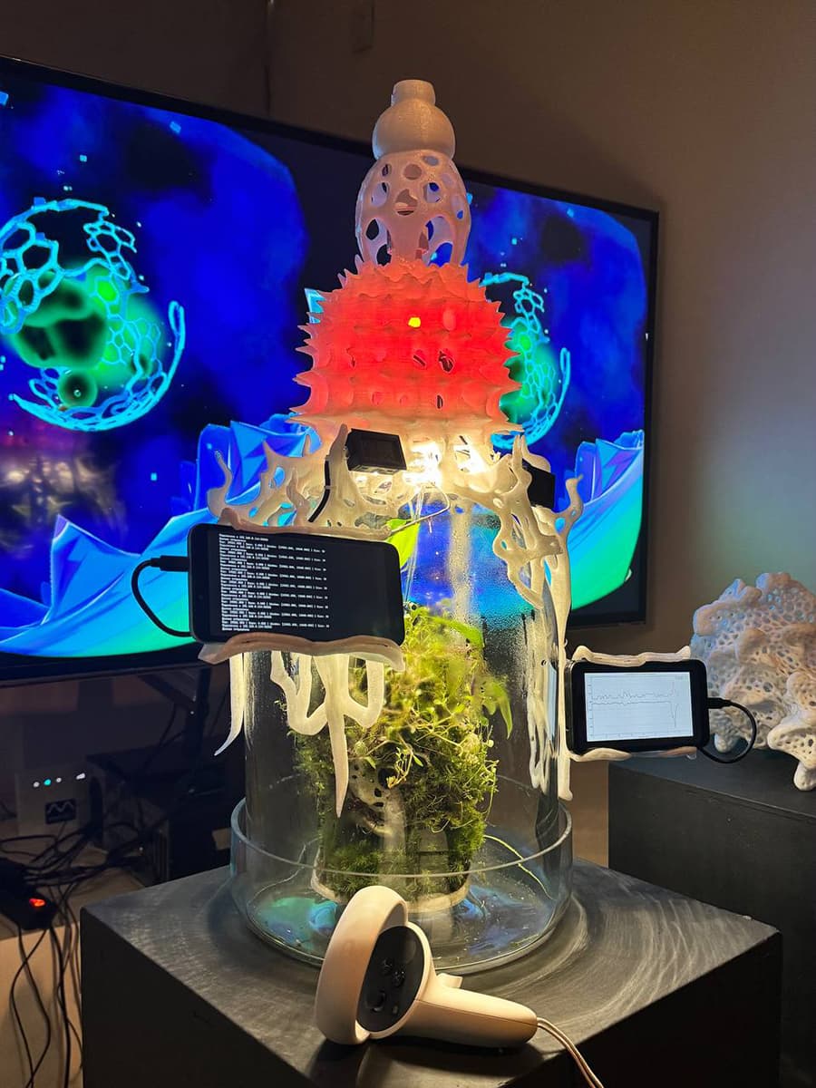 Первый фестиваль медиаискусства Digital Rain