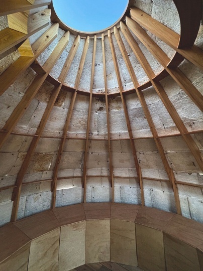 Экспериментальный павильон в Сеуле демонстрирует потенциал мицелия