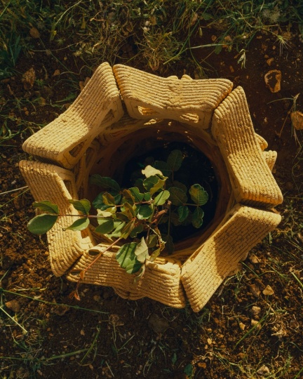 TreeSoil: укрытие, обеспечивающее рост молодых деревьев