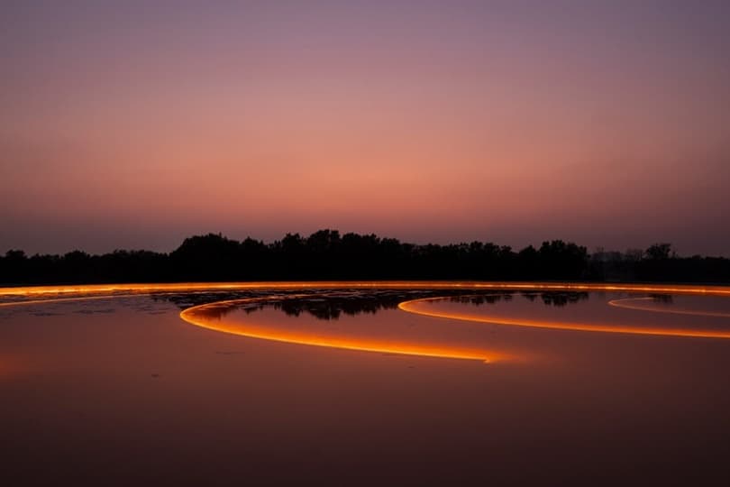 В Абу-Даби установили инсталляцию Шейхи Аль Мазру