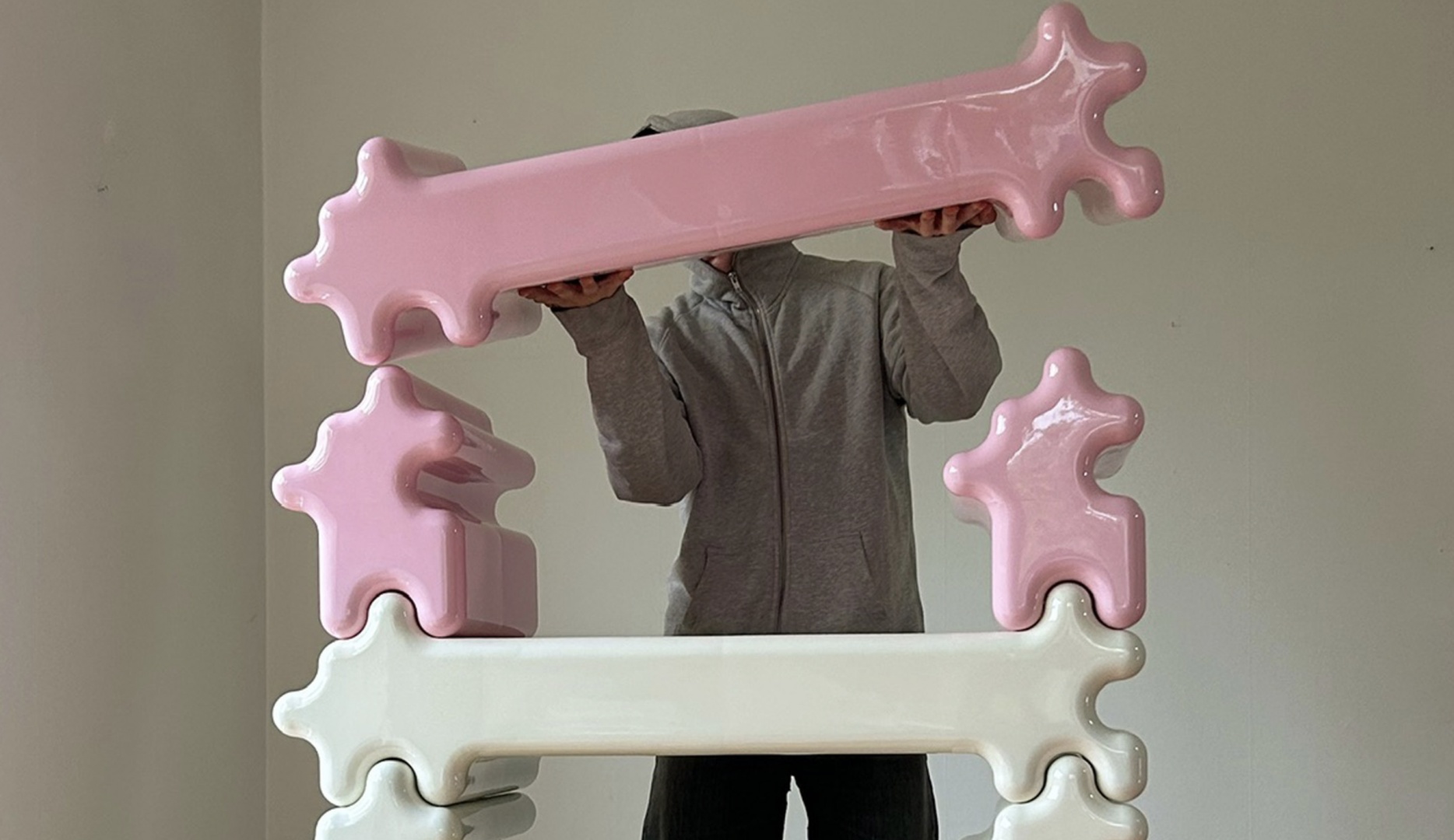 Густав Вестман создал модульную стеллажную систему