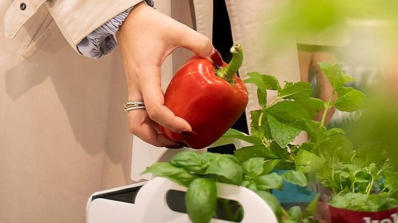 MOBI: роботизированная тележка для покупок