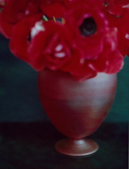 Коллаборация Zara Home и Колина Кинга