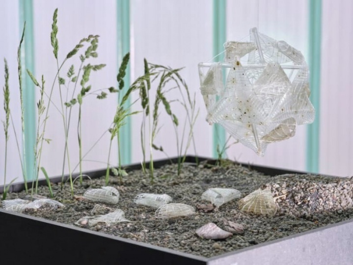 Студентка Central Saint Martins разработала конструкцию для восстановления пустошей