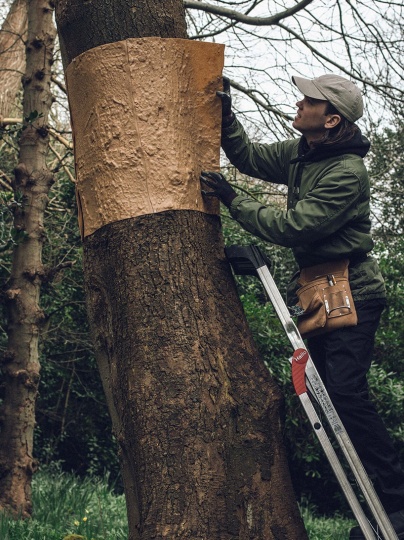 Дизайнер Мэтью Фрейзер создает лампы в форме деревьев