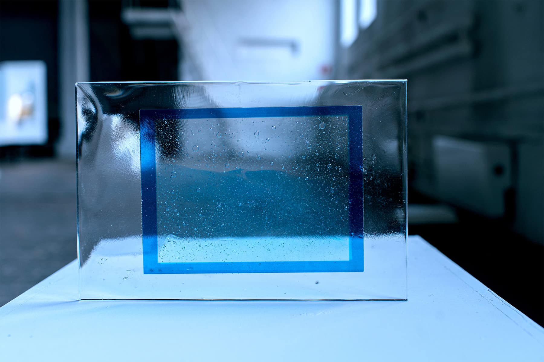 Лена Скрипкина