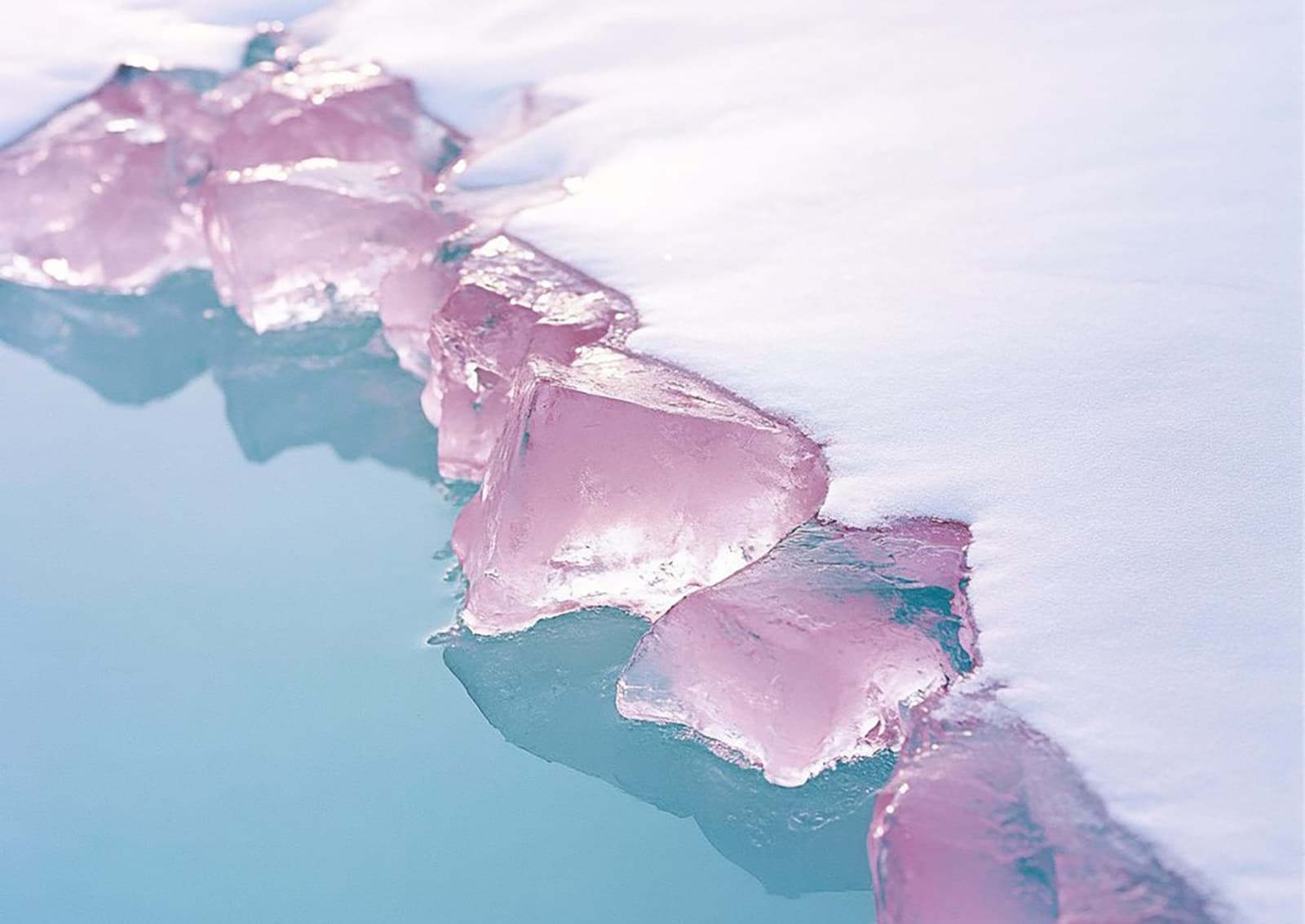 Лена Скрипкина