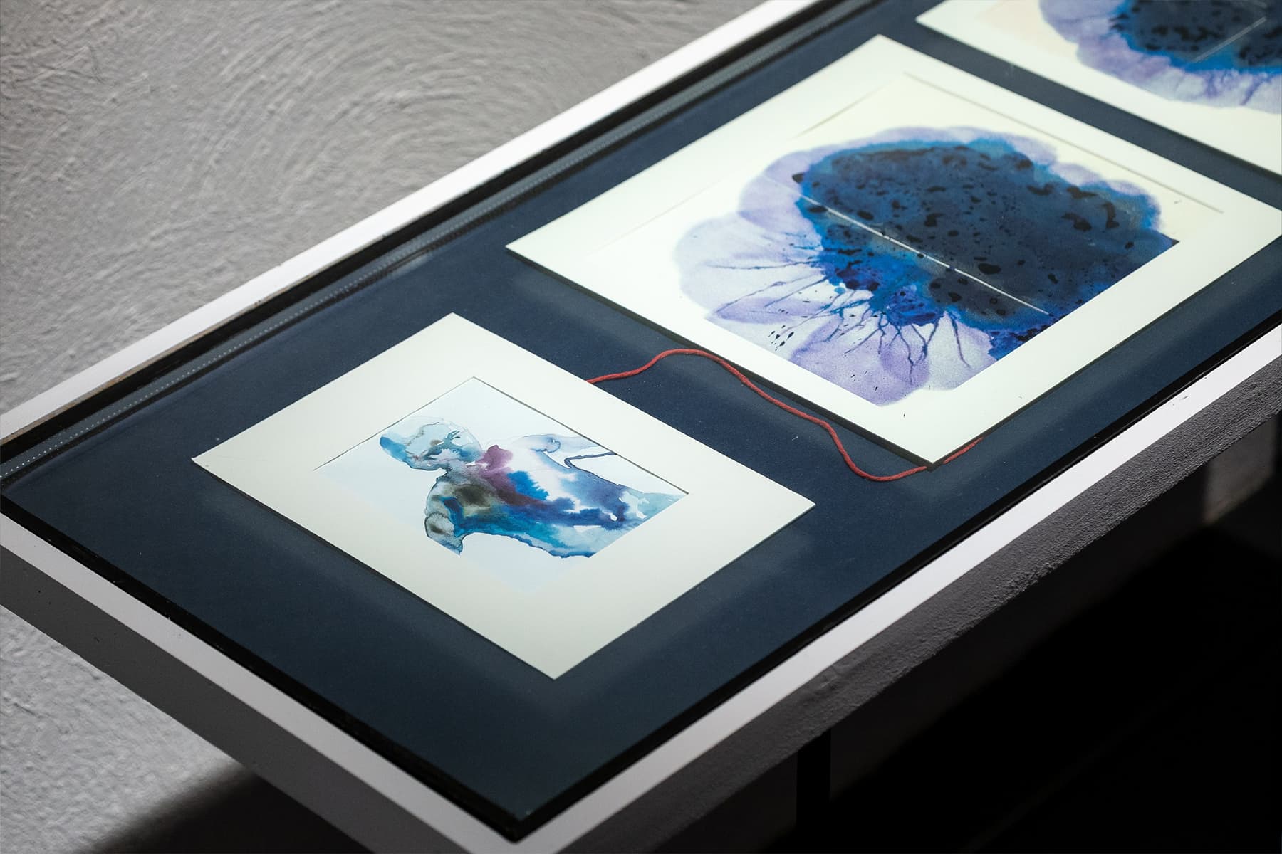 Лена Скрипкина