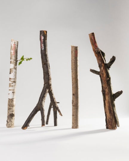 Дизайнер разработал систему крепления без шурупов