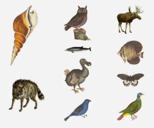 Портал Artcutout собрал базу винтажных картинок для рендеров