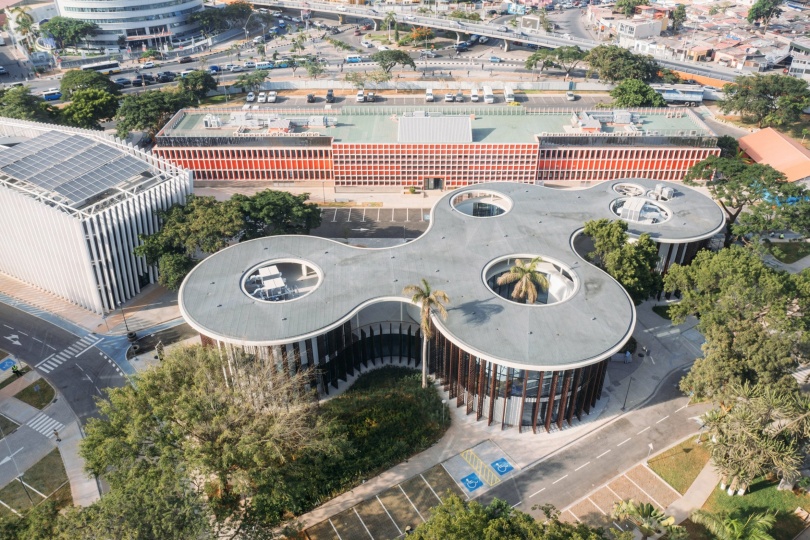 Студия Typsa Arquitectura построила библиотеку вокруг существующих деревьев