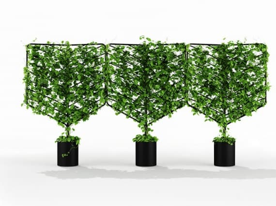 Австрийский дизайнер сделала экраны для вьющих домашних растений