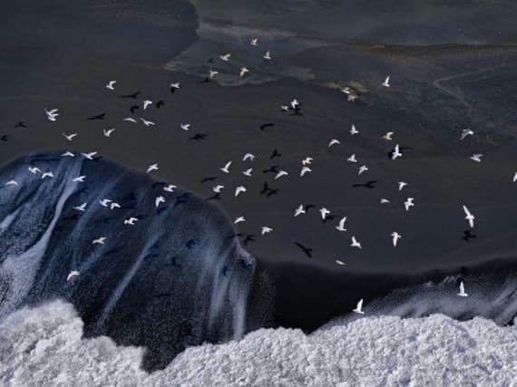 IKEA и Hasselblad готовят совместную коллекцию