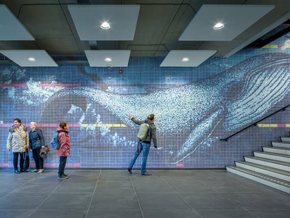 В Роттердаме завершено строительство спортивного плавательного комплекса В Роттердаме завершено строительство спортивного плавательного комплекса