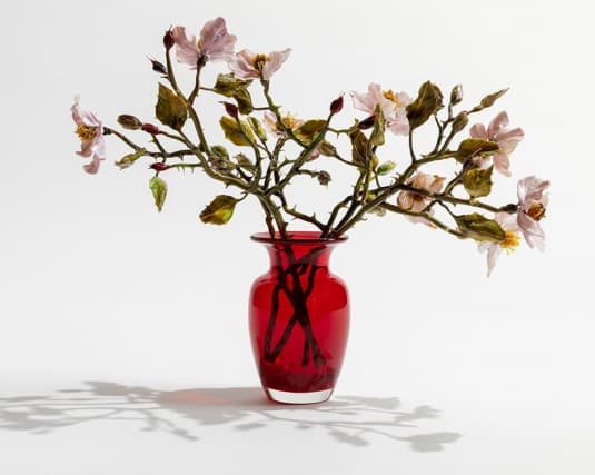 Лилла Табассо создает цветы из стекла