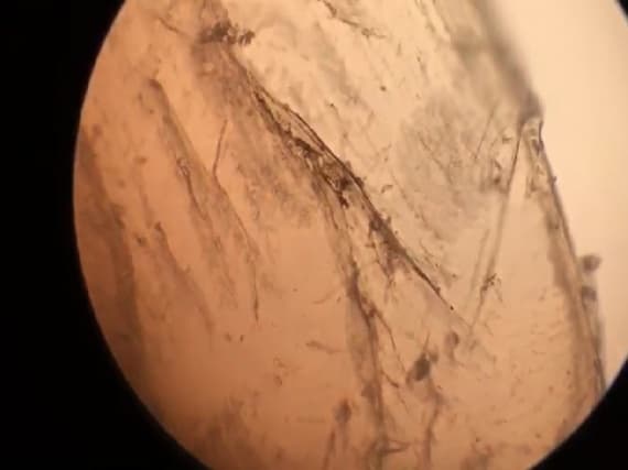 Выпускницы Школы Родченко запустили арт-эксперимент по переработке пластикового мусора