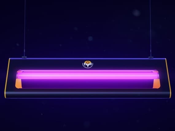 Студия Артемия Лебедева представила световые ловушки для мух