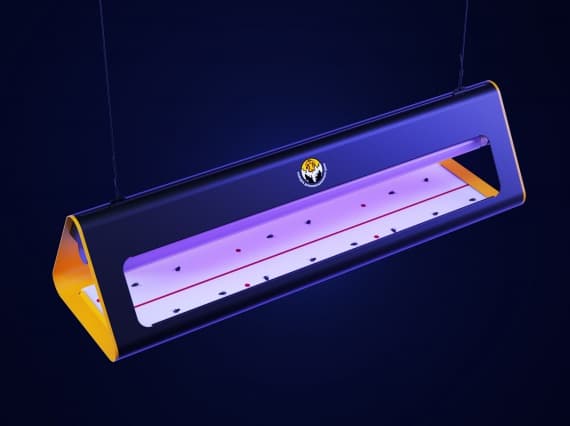 Студия Артемия Лебедева представила световые ловушки для мух