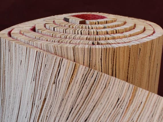 Тьерд Венховен использует пальмовый лист вместо кожи