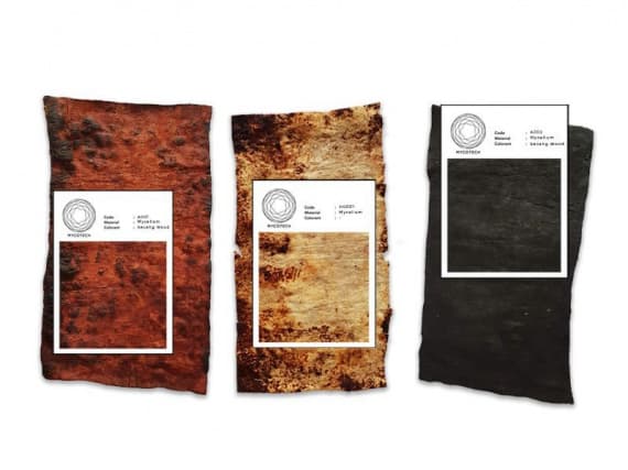 Mycotech представляют часы из грибного мицелия