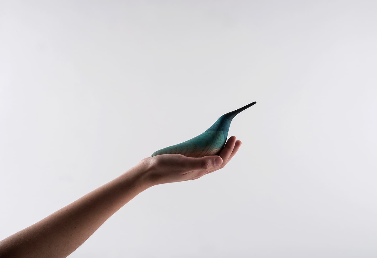 Работы Мойзеса Эрнандеза