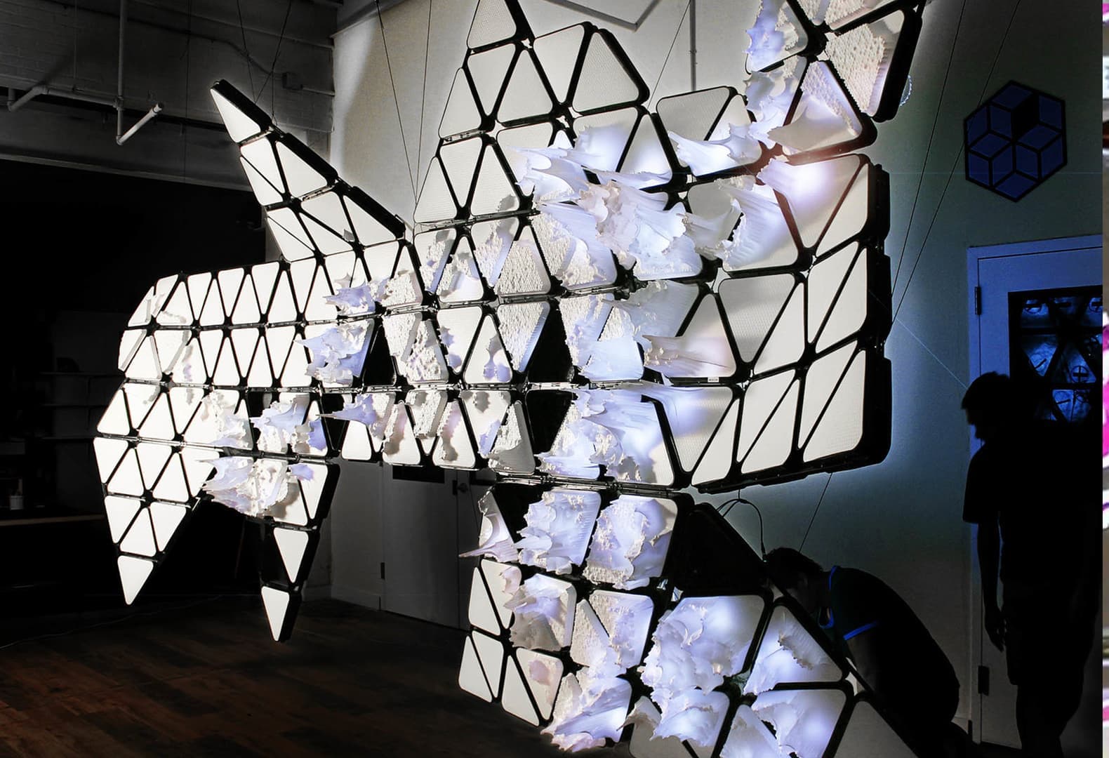 Проект Bio map