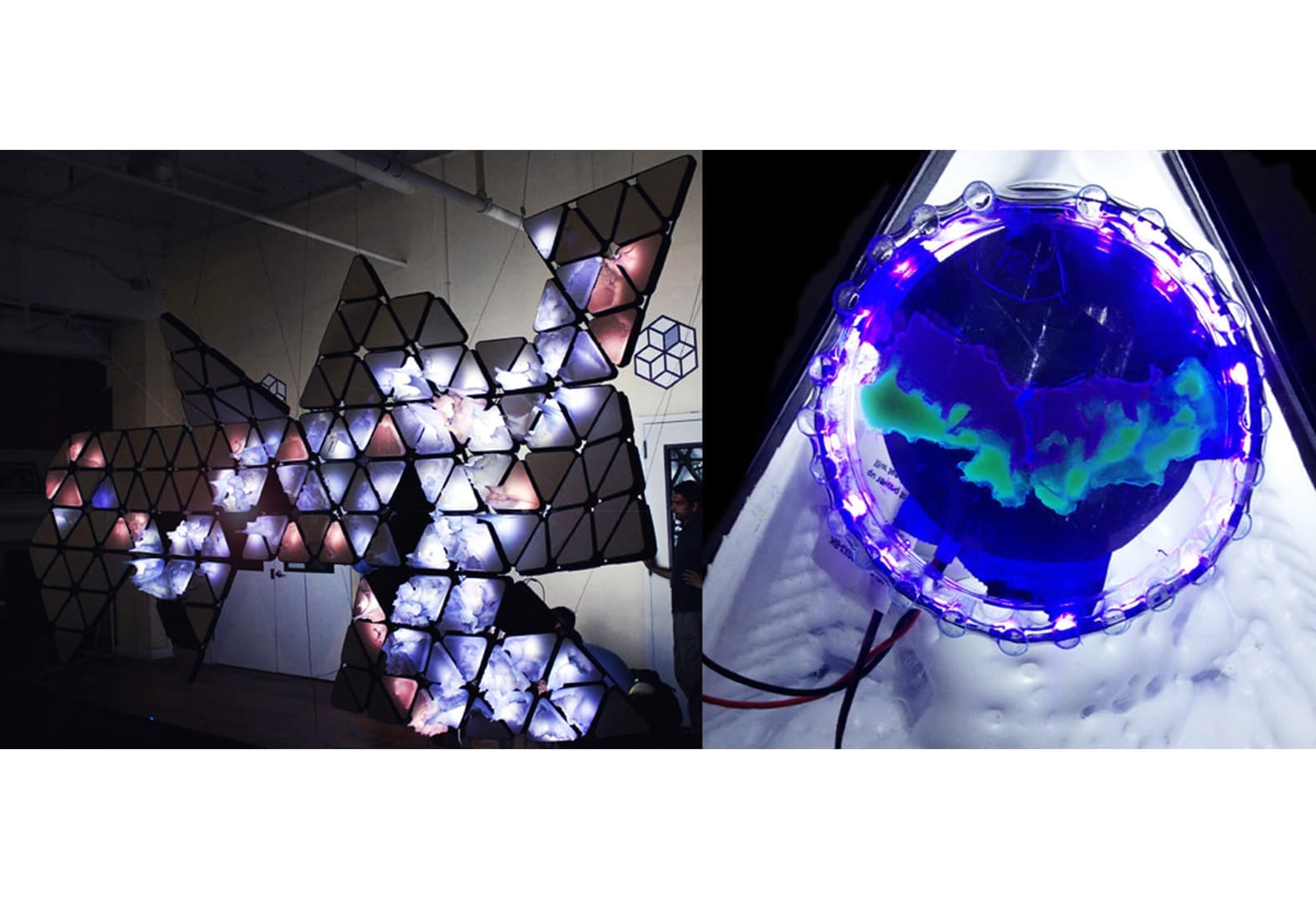 Проект Bio map