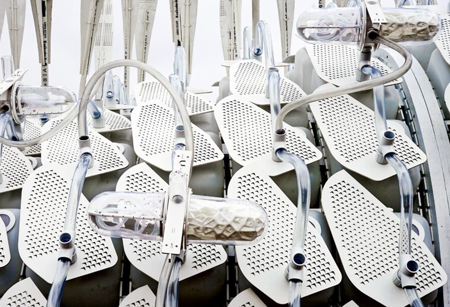 Проект Cricket Shelter