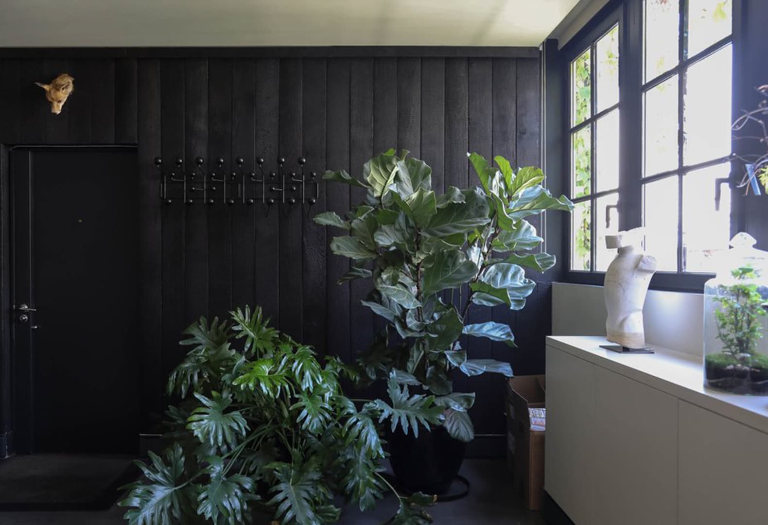 Тропическая квартира в Париже (2017)