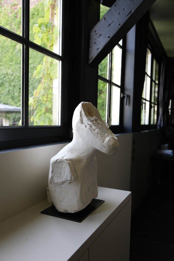 Тропическая квартира в Париже (2017)