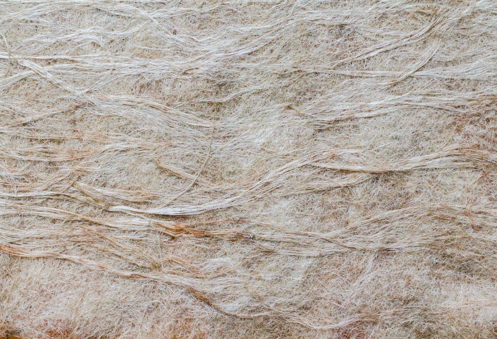 Alexander Marinus с проектом Hey Jute