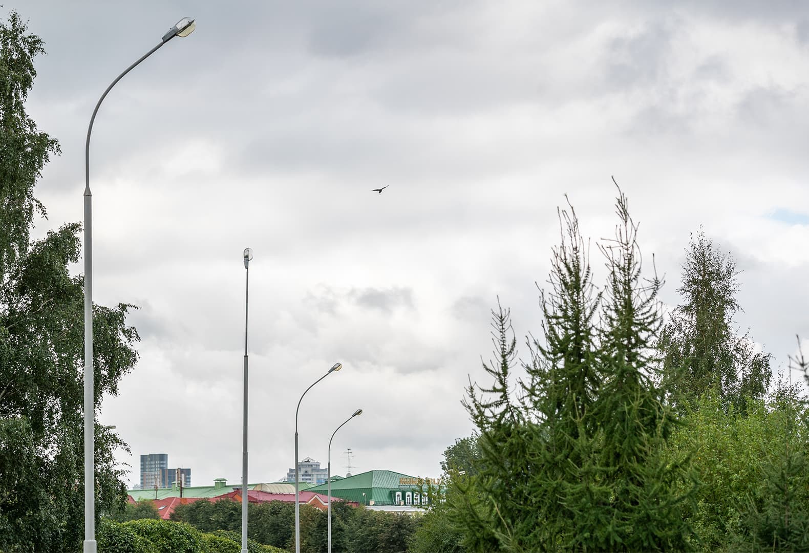 «Гордый фонарь» SPEKTR