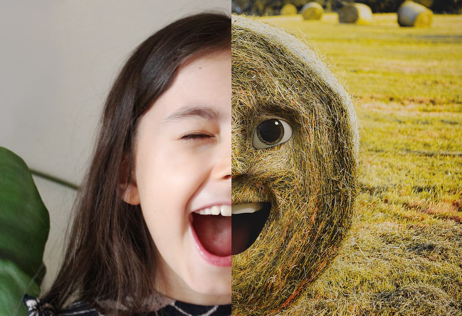 Приложение AR от Олафура Элиассона