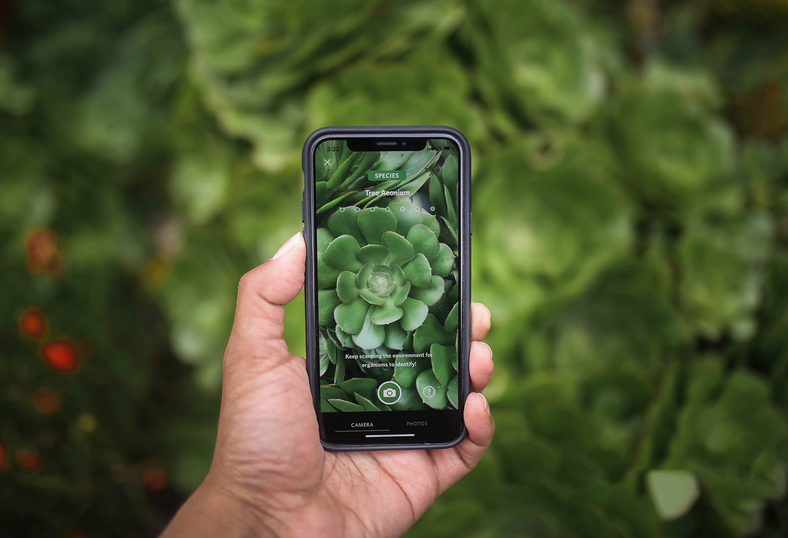 Приложение для детей Seek для идентификации растений и цветов