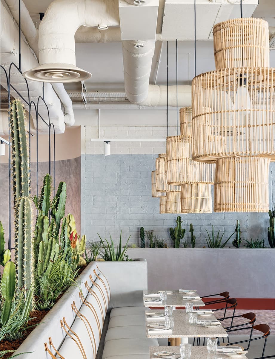 Зрелищный калифорнийский мираж в Лондоне – проект Holloway Li