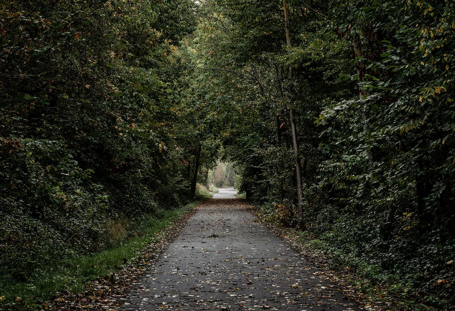 Chemin des Carrieres