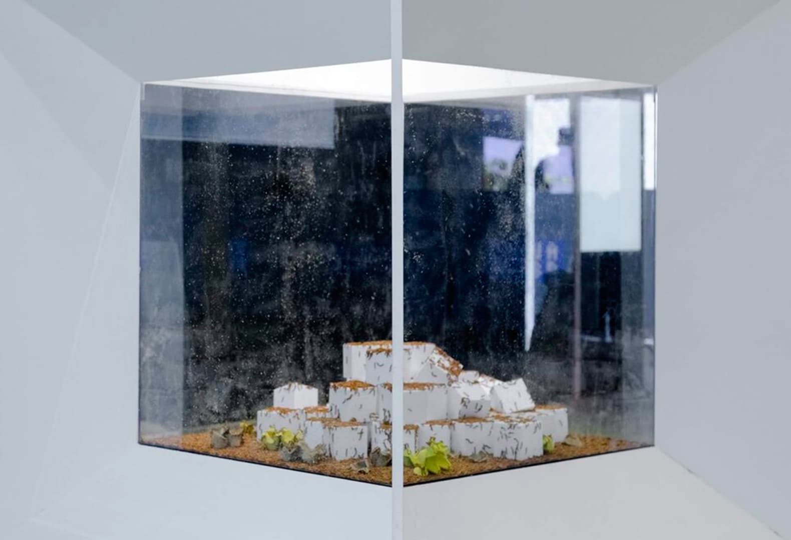 Bio-informatic digester. Митчелл Иоахим