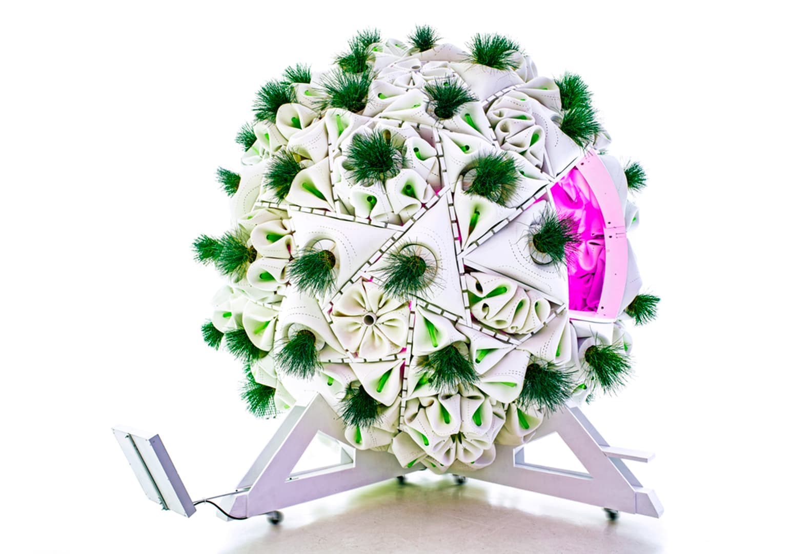 Plug-In Ecology. Митчелл Иоахим