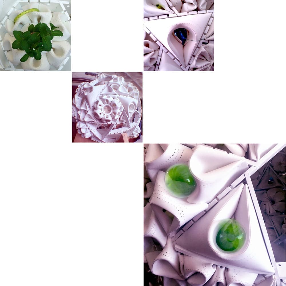 Plug-In Ecology. Митчелл Иоахим