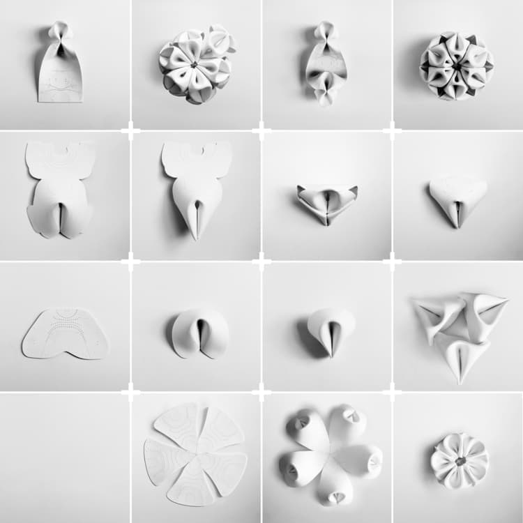 Plug-In Ecology. Митчелл Иоахим