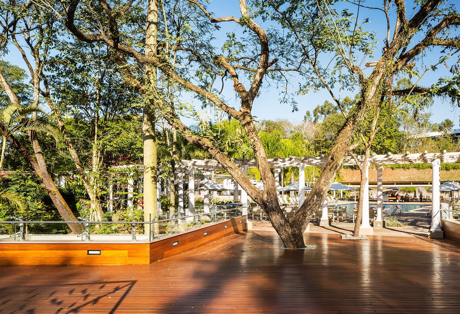 Рекреационная экосистема в Grande Hotel Senac São Pedro. Фото: Anna Mello