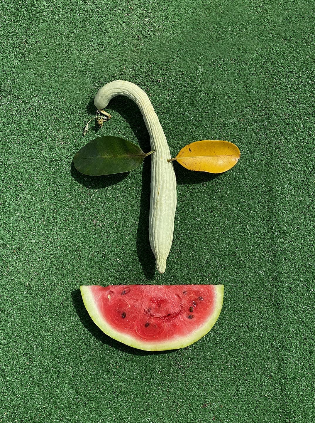 Работы Никиты Лукьянова