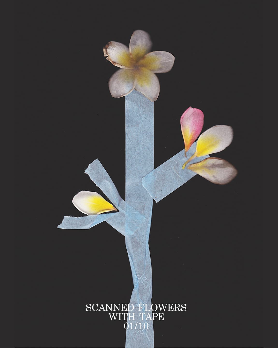 Работы Никиты Лукьянова