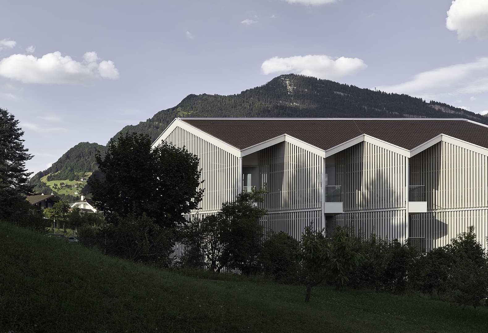 Chenot Palace Weggis Health Wellness Hotel. Фото: Roberto Pellegrini, Fabrice Fouillet