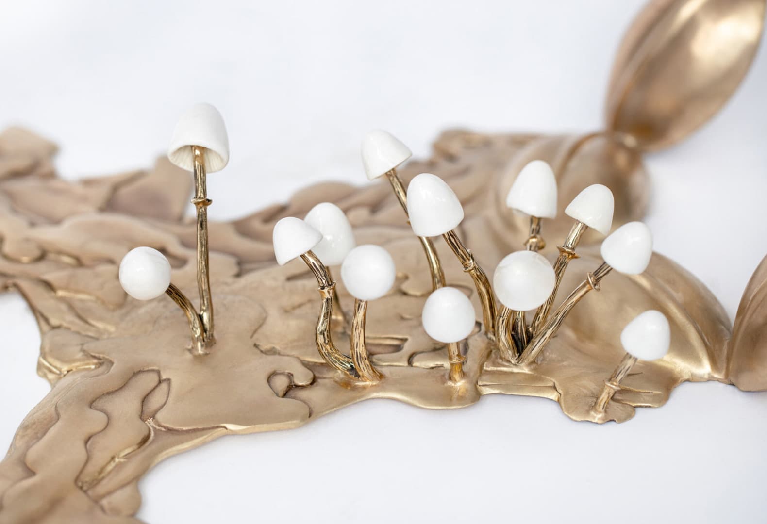 Bowerbird Table, Дэвид Уайзман, США, 2019. Фото: Mark Hanauer