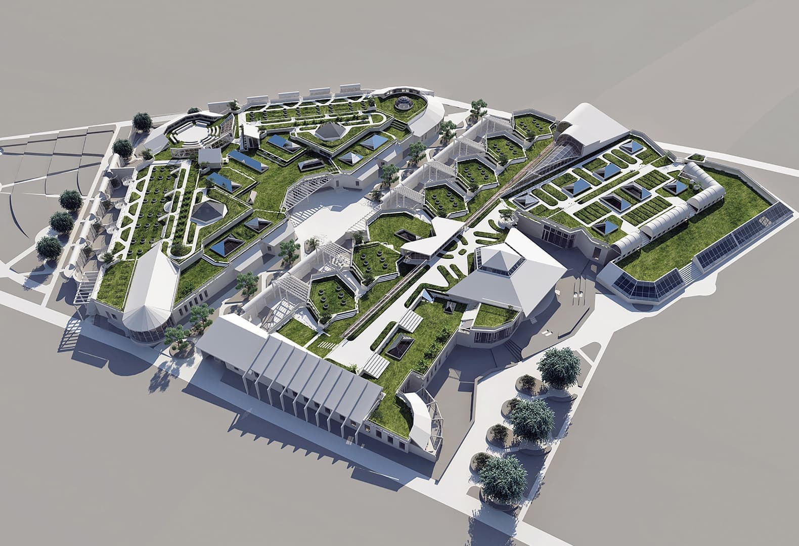 Победители Дизайн-Дебют 2020: Проект старшей и средней школы, Алла Луенс