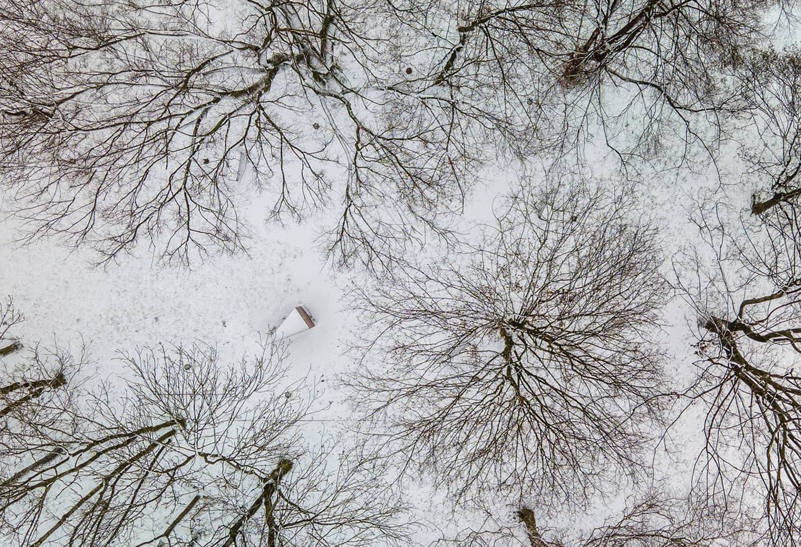 Мемориальный парк на территории Большой Синагоги Освенцима. NArchitekTURA + Bartosz Haduch. Фото: Piotr Strycharski